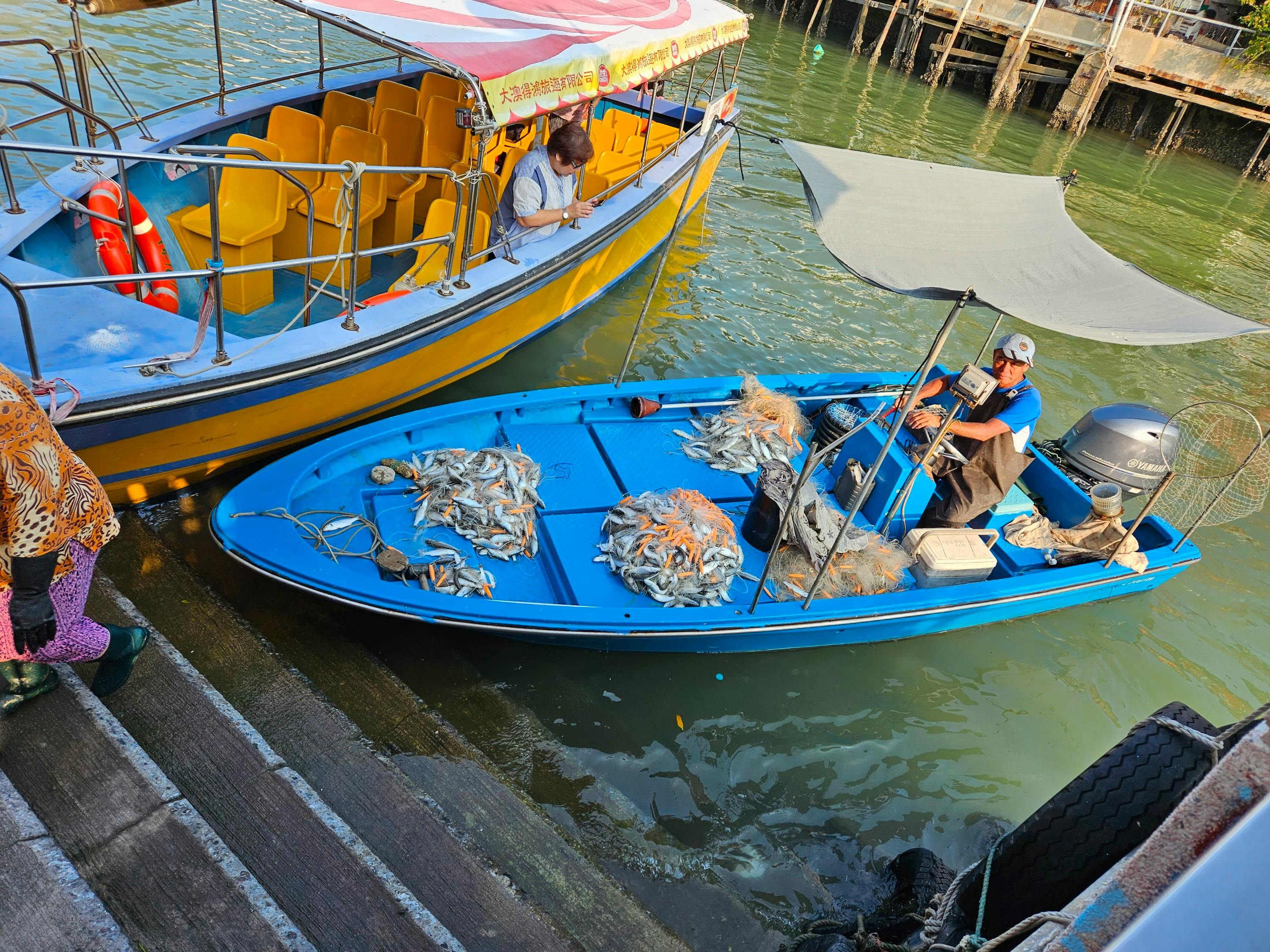 Tai O: 20-Minute Sightseeing Boat Trip - Photo 1 of 17